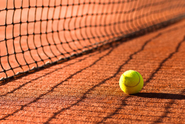 Quelles tendances locales se dessinent pour une construction de court de tennis à Angers dans les propriétés privées ?