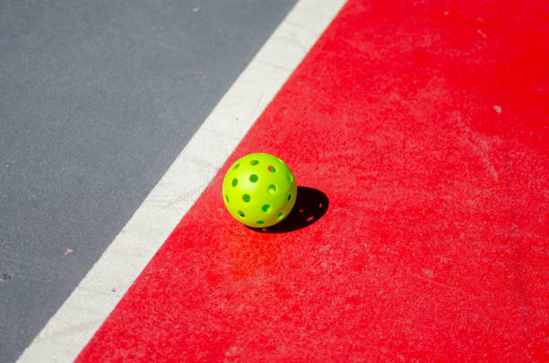 La construction terrain de pickleball à troyes est-elle adaptée aux hôtels accueillant une clientèle familiale ?